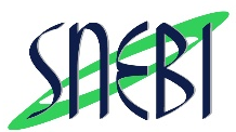 logo snebi